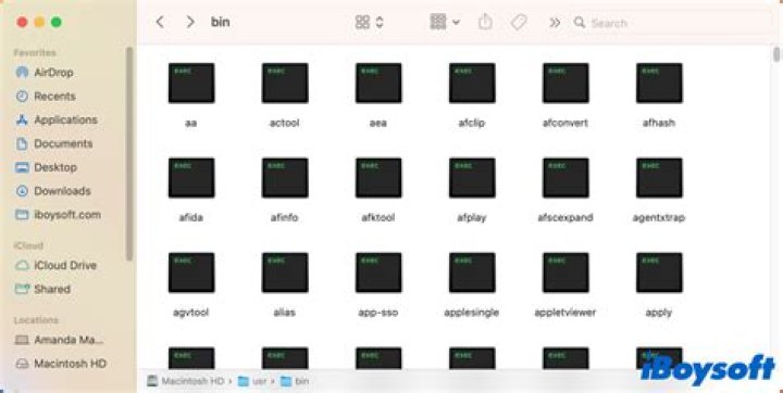 update-alternatives does not work due to /usr/local/bin precedence