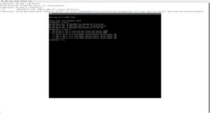 USB passthrough for QEMU gets error 
