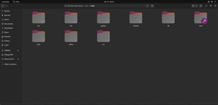 Use of /opt and /usr/local directories in the context of a PC