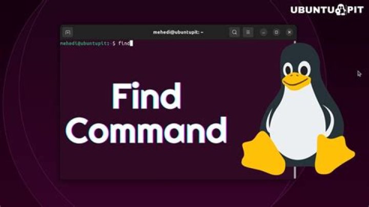 Use Results of Find Command to Call vi