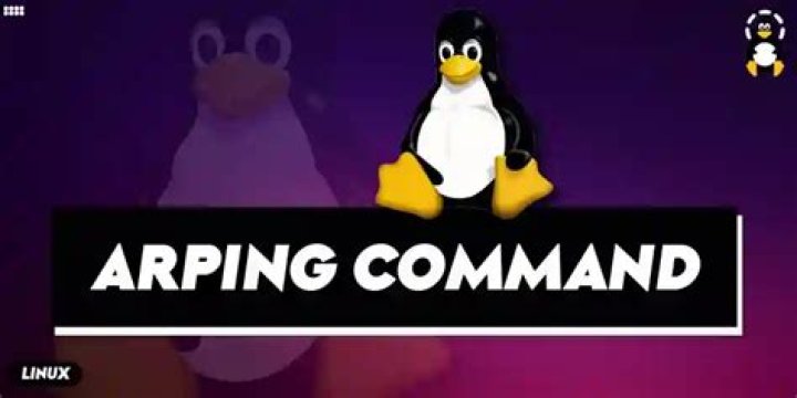 Using arping command in ubuntu 12.04