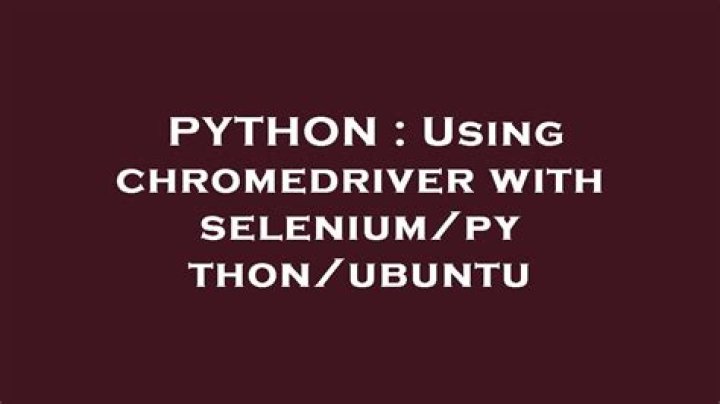 Using chromedriver with selenium/python/ubuntu