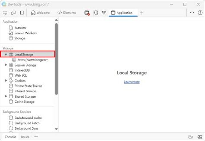 Using localstorage.clear() but exclude 1 item