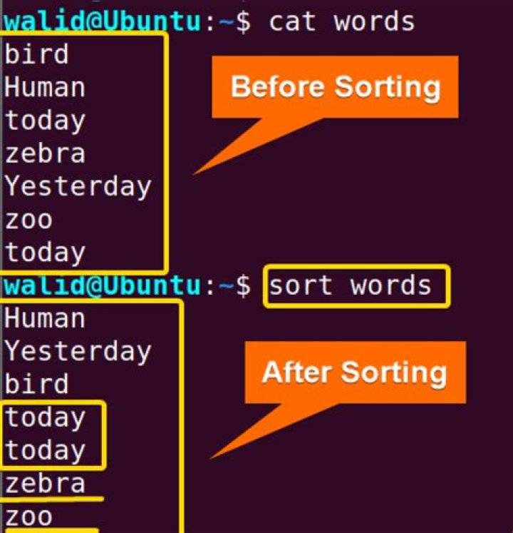 using sort command while strings in first column repeats