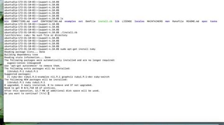 /usr/bin/env: ‘ruby’: No such file or directory