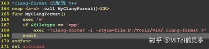 vim-clang-format: clang-format is not found