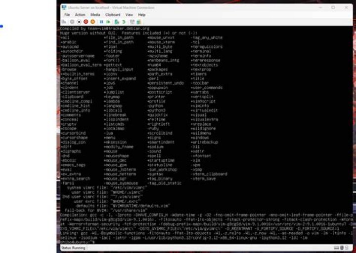Vim config file empty