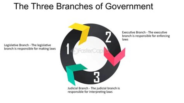 Visualization of three branches