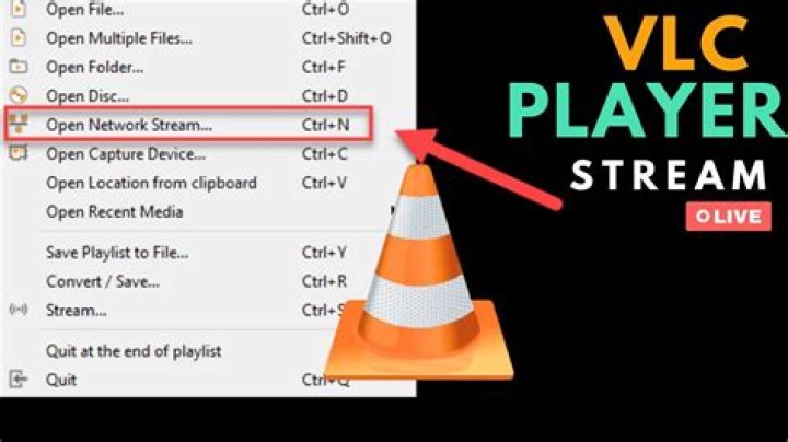 VLC how to get the full path of currently playing video