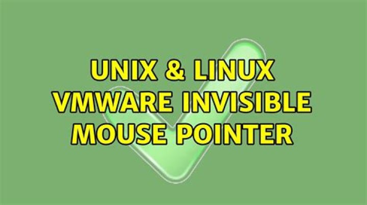 VMWare Invisible Mouse Pointer