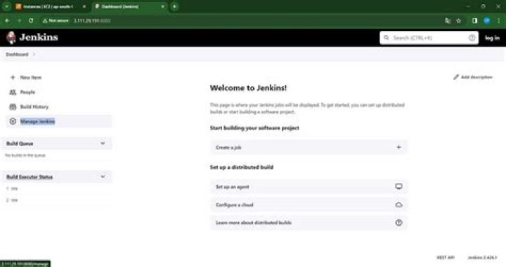 We can't access to jenkins from anywhere