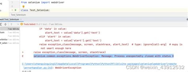 WebDriverException : 