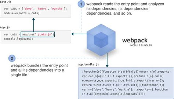 webpack bundle.js not found