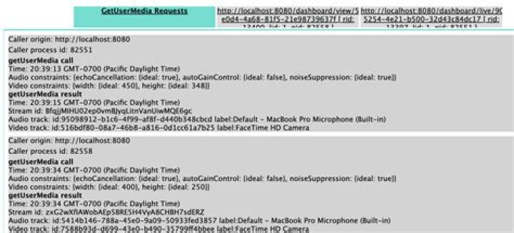 WebRTC Perfect Negotiation Vue 2
