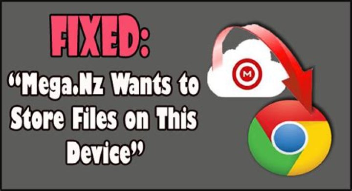 Website Wants to Store Files on this Device? (Chrome)