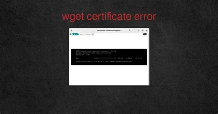 wget download file - --no-check-certificate error?