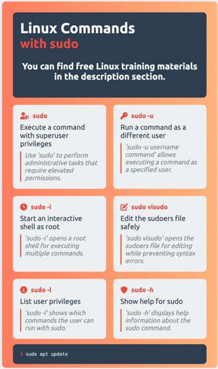 What's the difference between 'sudo [command]' and 'sudo sh [command]?