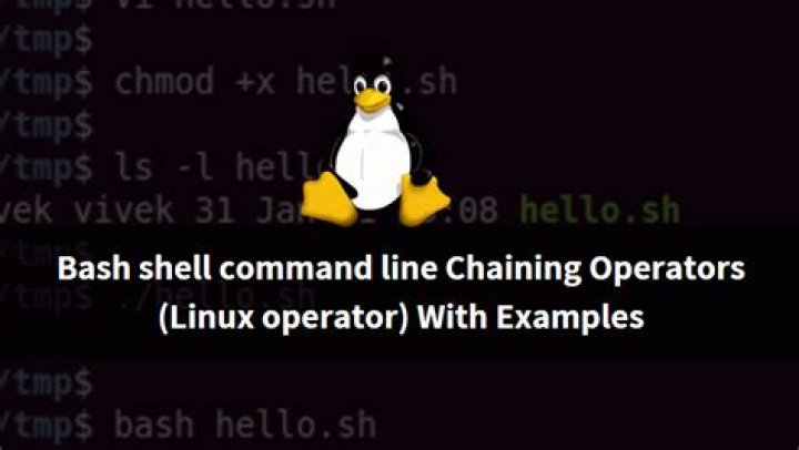 What's the meaning of the parameter -e for bash shell command line?