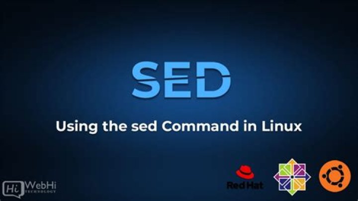 What's the meaning of this sed command? sed 's%^.*/%%' [duplicate]