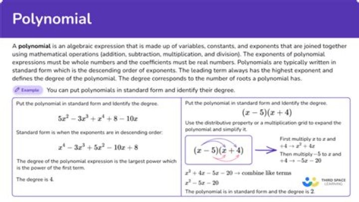 What actually is a polynomial?