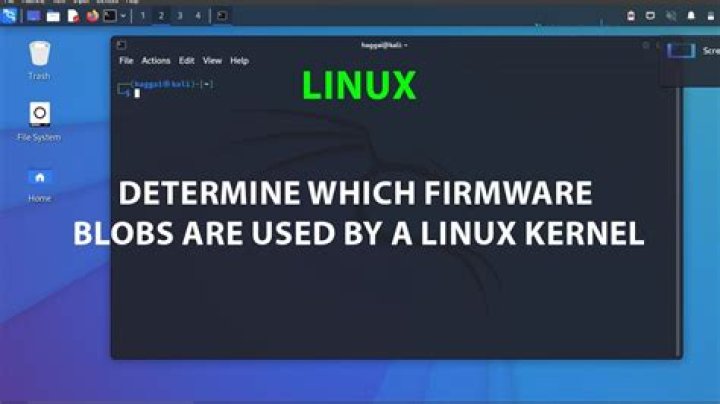What are firmware blobs (from linux-firmware) exactly?