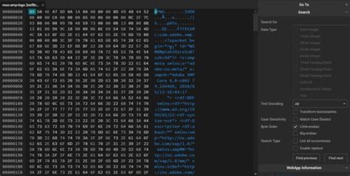 What are the binaries of a file?