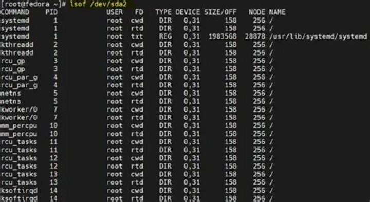 What are the device numbers reported by lsof?