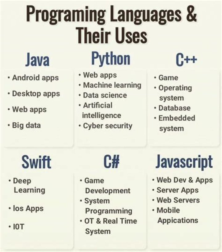 What are vectors and how are they used in programming?