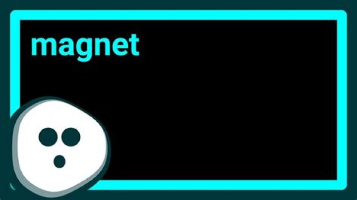 What computer components are currently vulnerable to magnets?