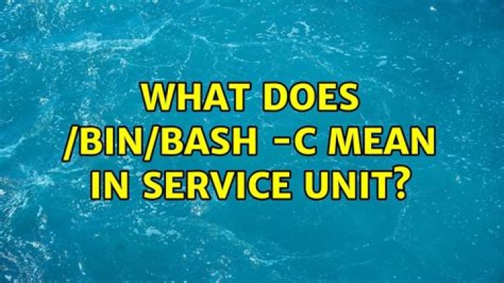 What does /bin/bash -c mean in service unit?