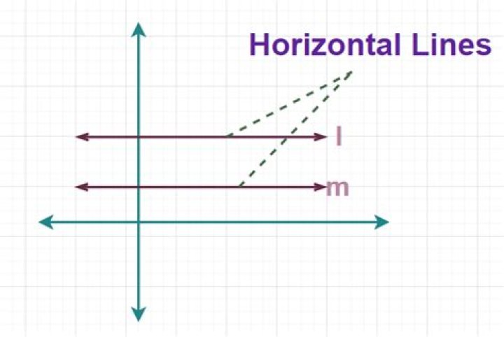 What does horizontal line above variable means?