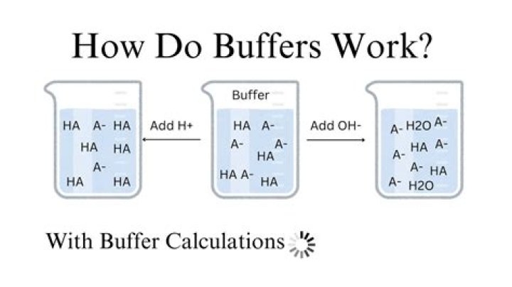 What does it mean by buffer?