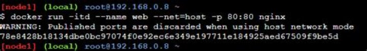 What does --net=host option in Docker command really do?