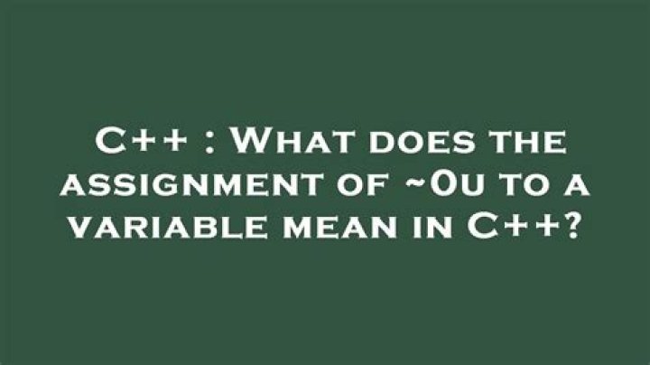 What does the assignment of ~0u to a variable mean in C++? [duplicate]