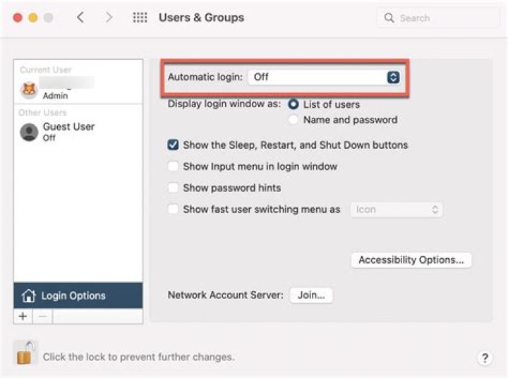 What does the automatic login option do?