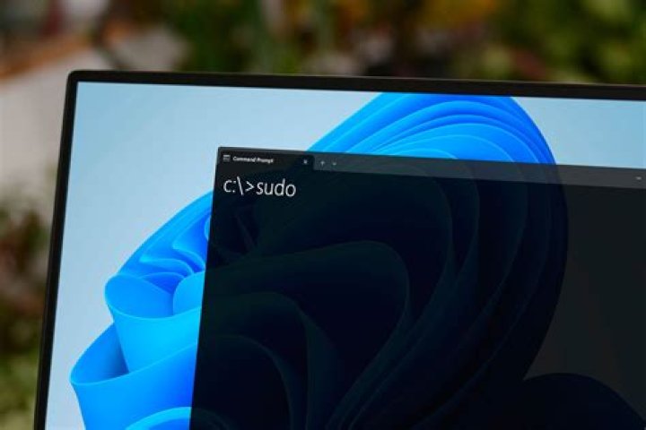 What does the command 'sudo sh -e ~/Downloads' do?