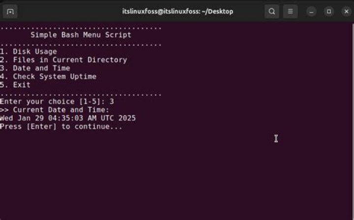 What does the & mean when used in the end of a bash script?