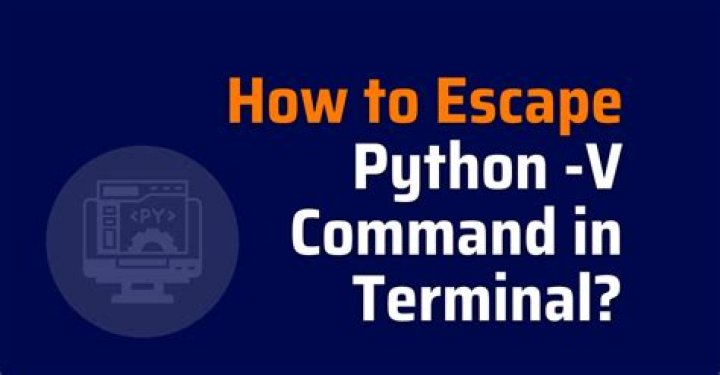 What Does the python -v Command Do
