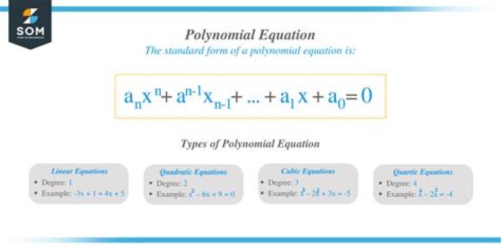 What does the solution set of these polynomial equations look like?
