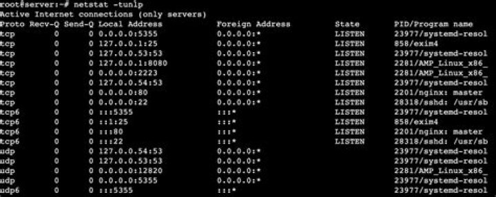 What does the -tulpn option mean for netstat?