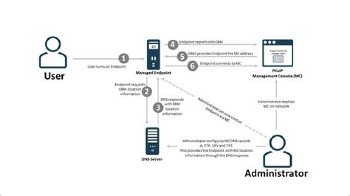What does/will the directory /srv contain?