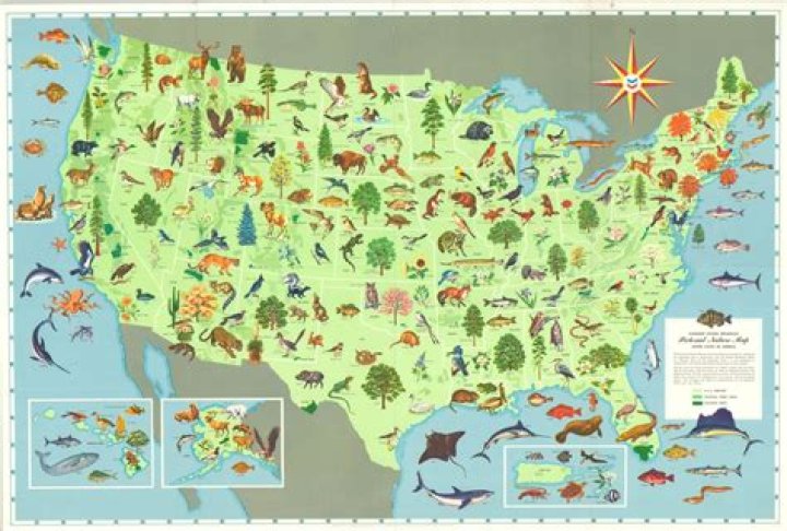 What exactly is a natural map