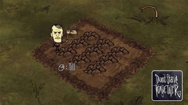 What happens to tree stumps in Don't Starve?