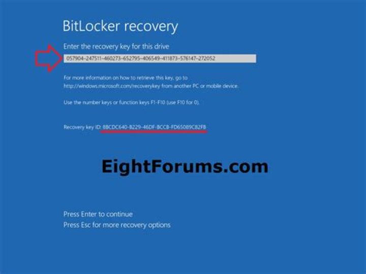What identifier is meant in the Bitlocker recovery key document?