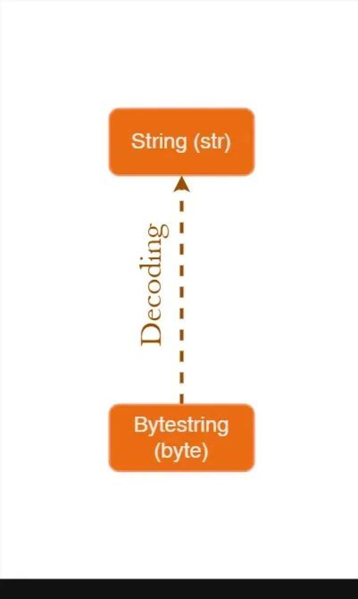 What is a Python bytestring?