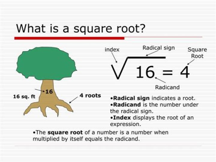 What is a square root?