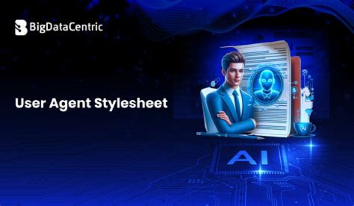 What is a user agent stylesheet?