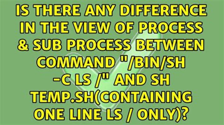 What is /bin/sh -c?