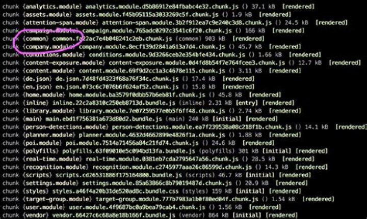 What is common.chunk.js?