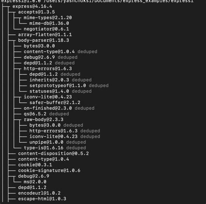 What is deduped in npm packages list?
